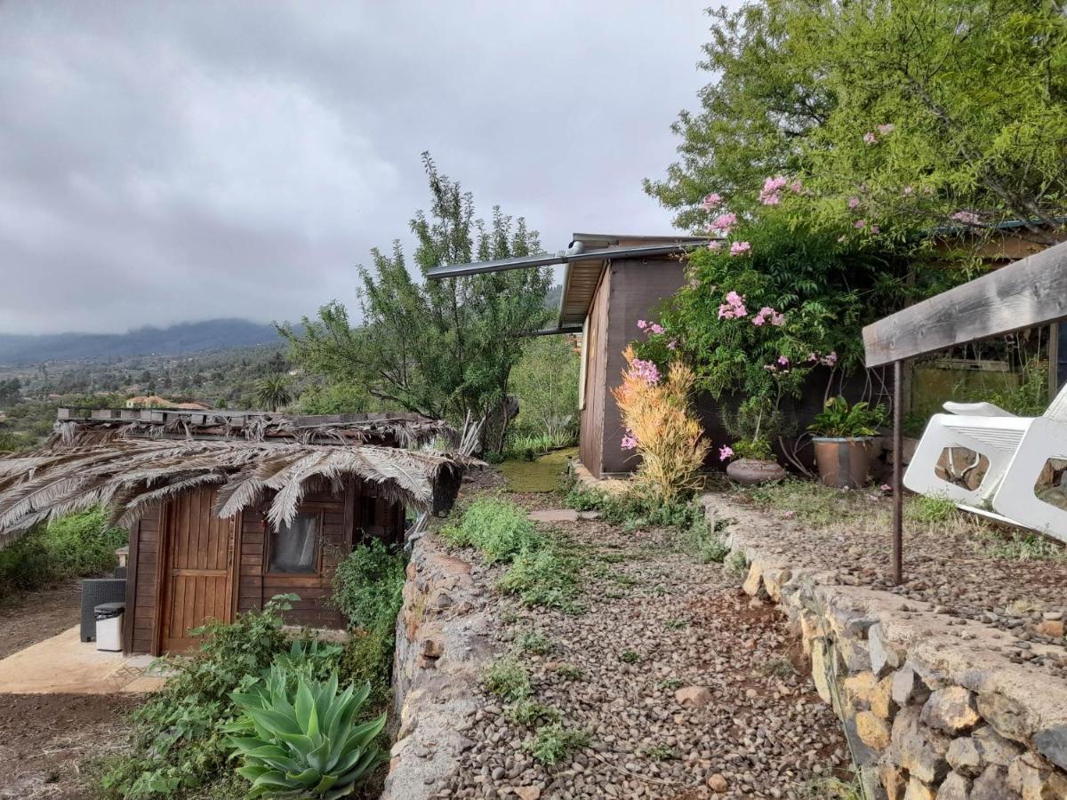 Abracaribes Bed & Breakfast Arecida Exterior foto