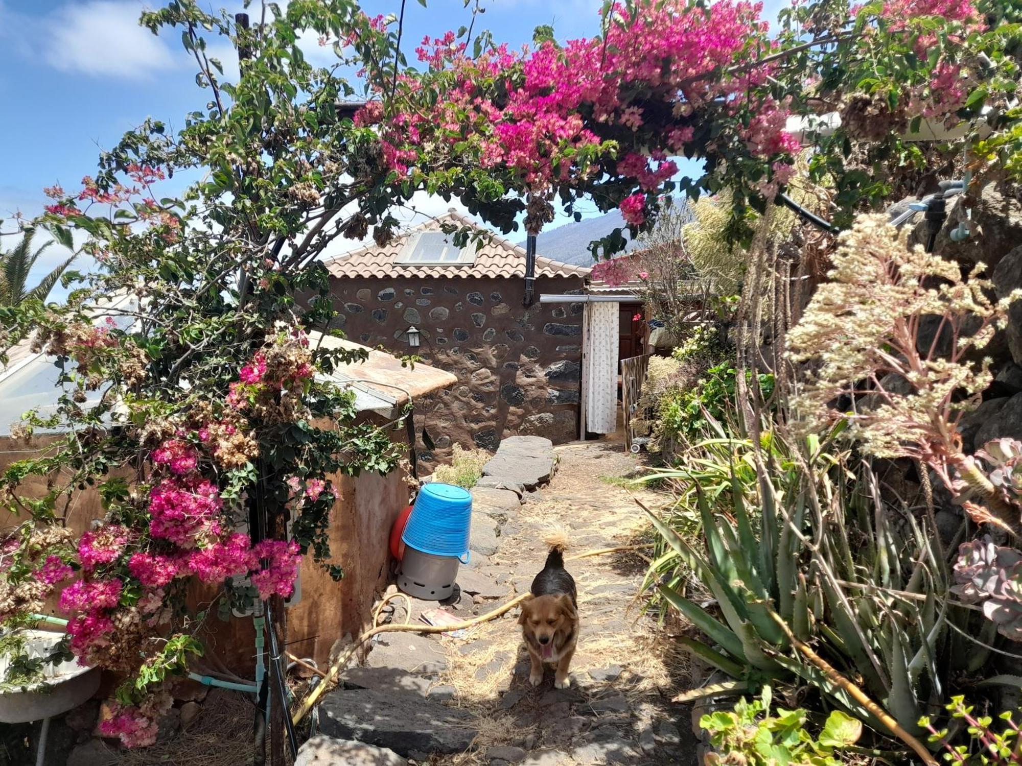 Abracaribes Bed & Breakfast Arecida Exterior foto