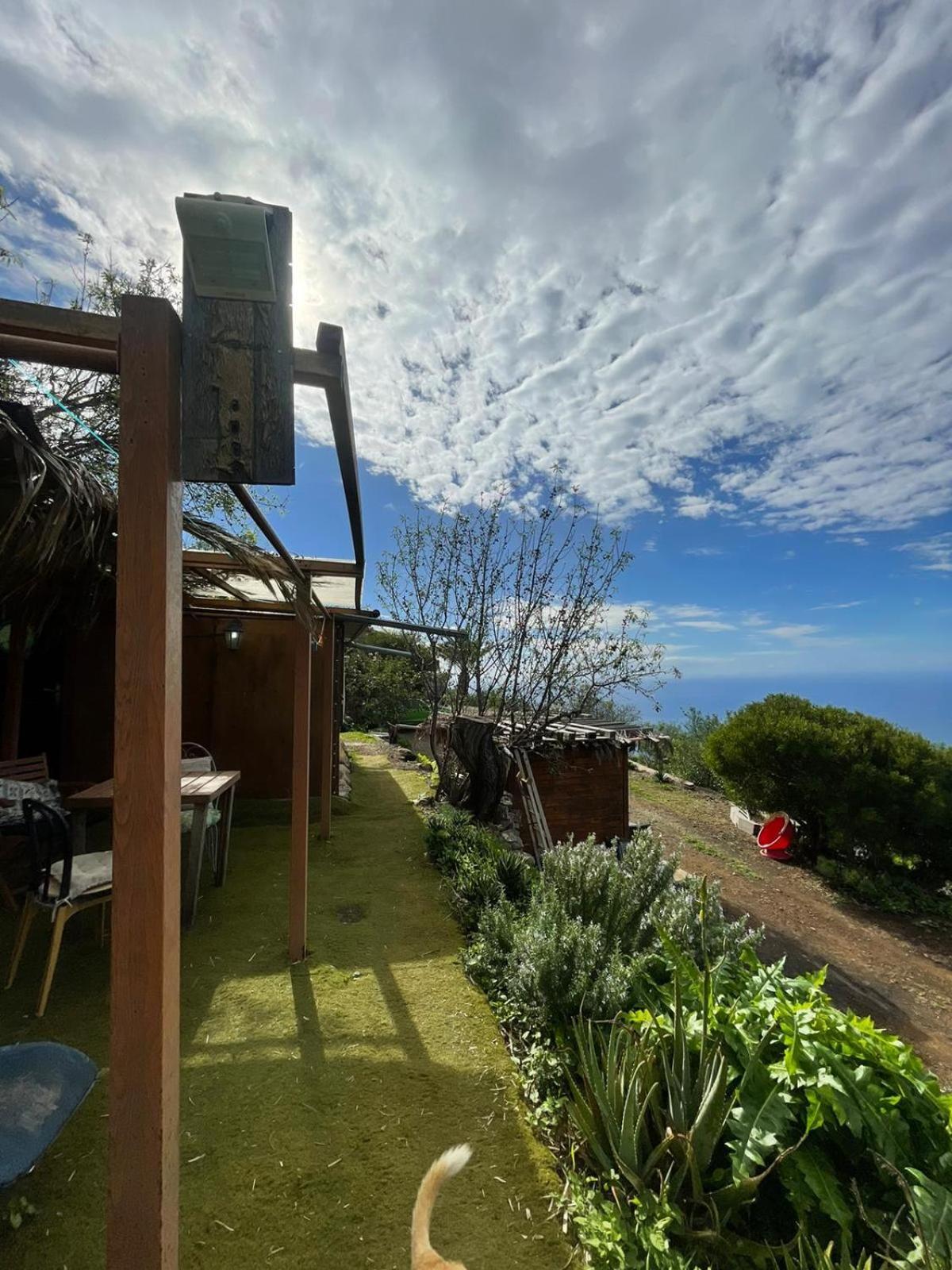 Abracaribes Bed & Breakfast Arecida Exterior foto