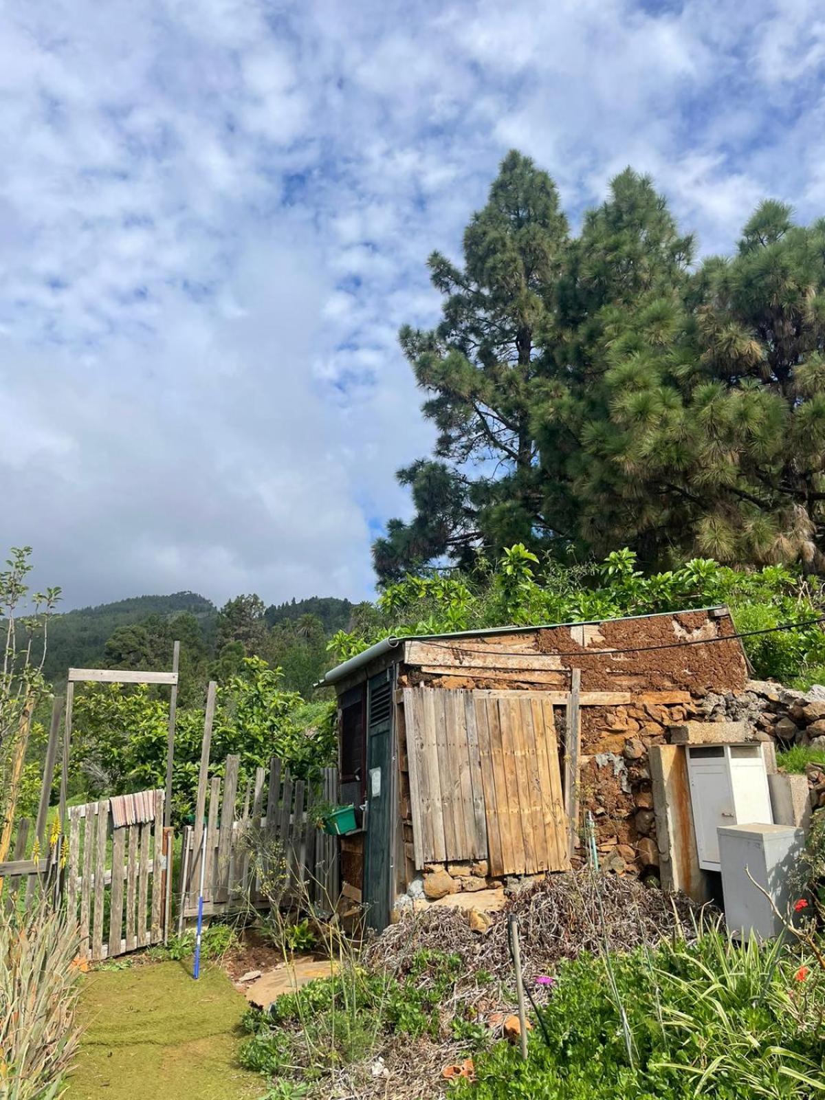 Abracaribes Bed & Breakfast Arecida Exterior foto