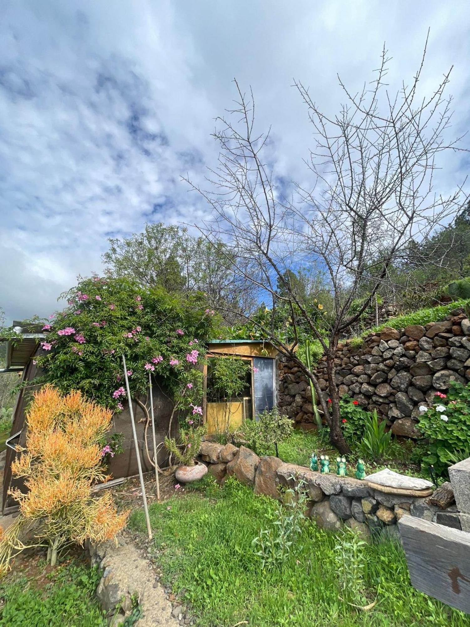 Abracaribes Bed & Breakfast Arecida Exterior foto