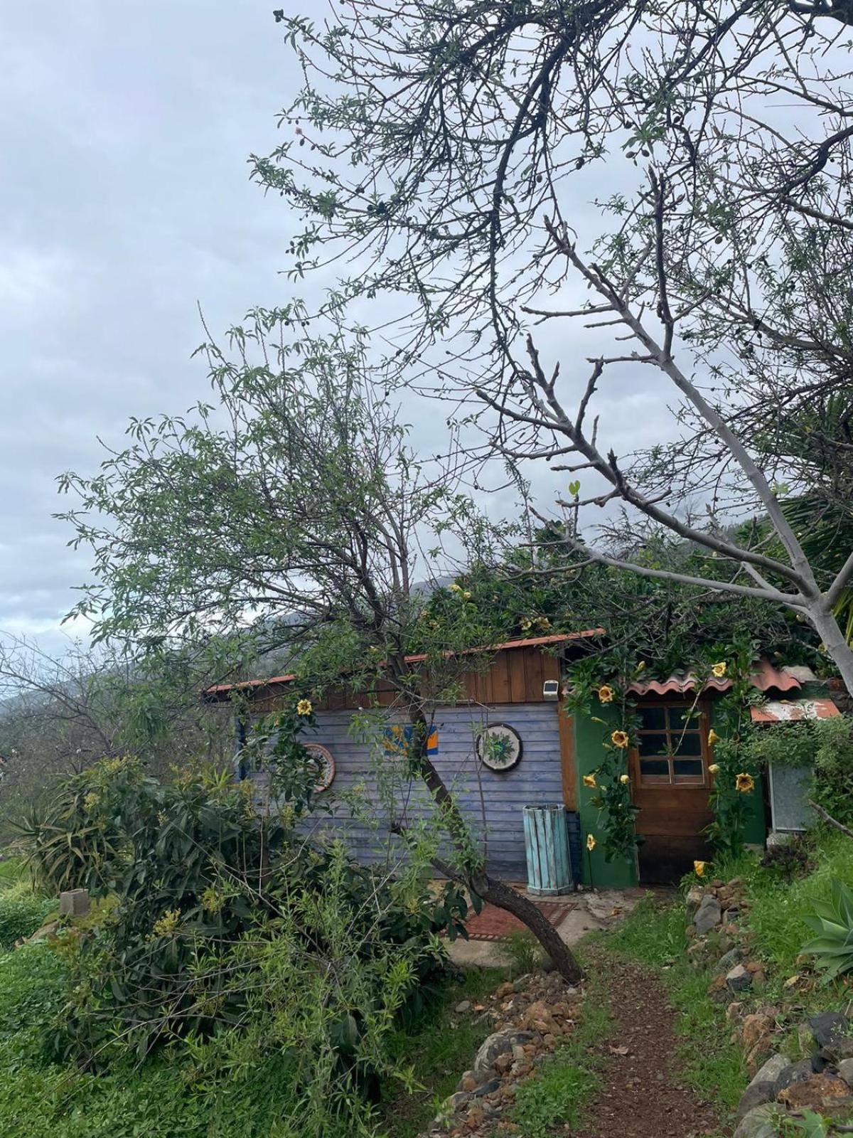 Abracaribes Bed & Breakfast Arecida Exterior foto