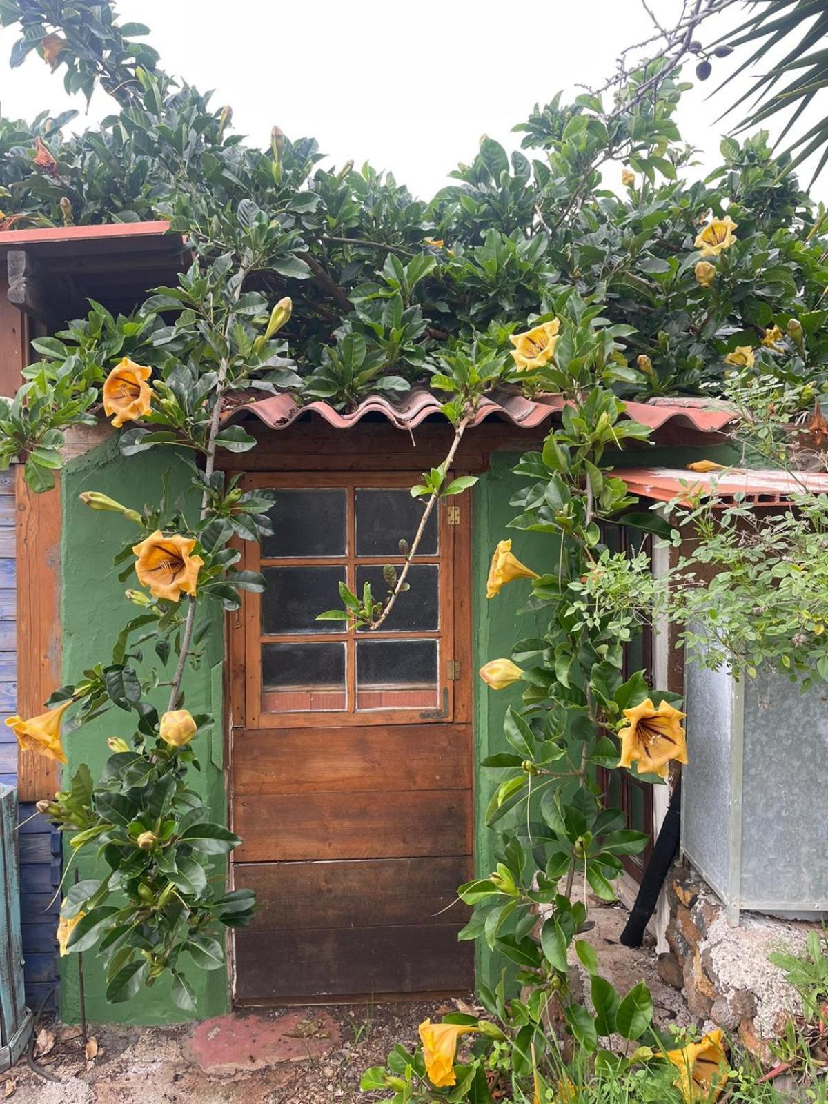 Abracaribes Bed & Breakfast Arecida Exterior foto