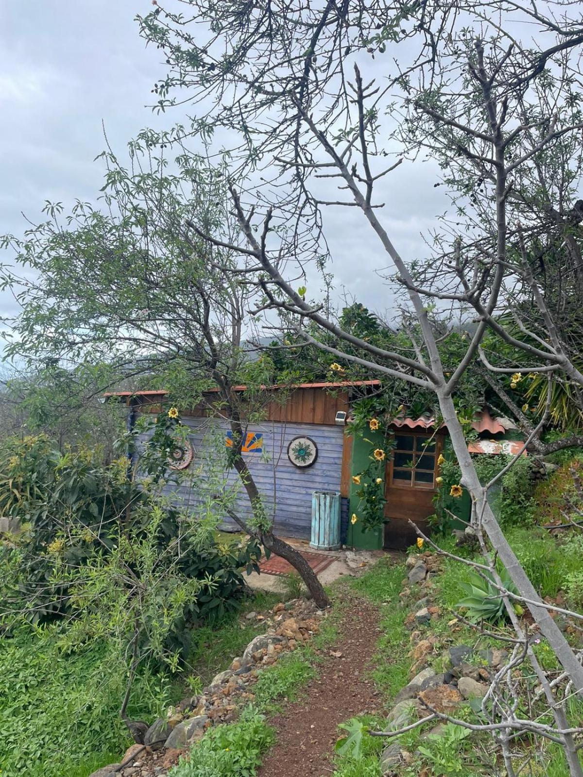 Abracaribes Bed & Breakfast Arecida Exterior foto